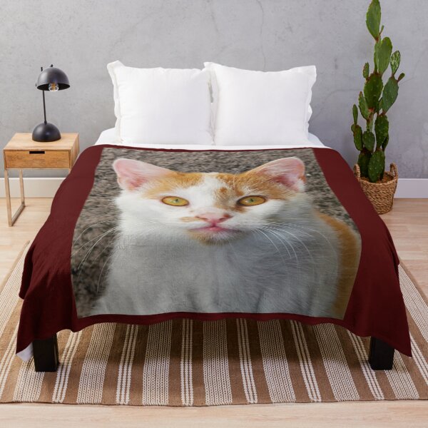 Item preview, Paddy Cat designed and sold by Twittlefish.
