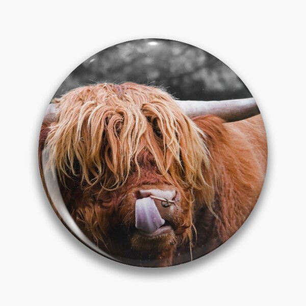 Item preview, Cheeky Coo designed and sold by Morag McMillan  Wilson Art.