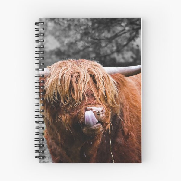 Item preview, Cheeky Coo designed and sold by Morag McMillan  Wilson Art.