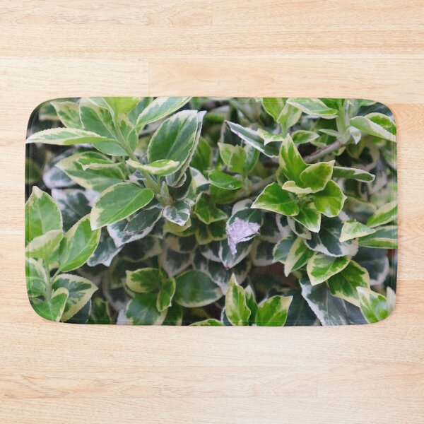 Item preview, Green and White Vining Leaf Pattern designed and sold by PrettyLittlePic.
