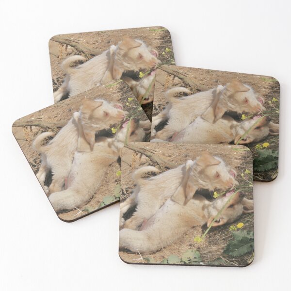 Item preview, Brotherly Puppy Fight designed and sold by Daniela Weil.