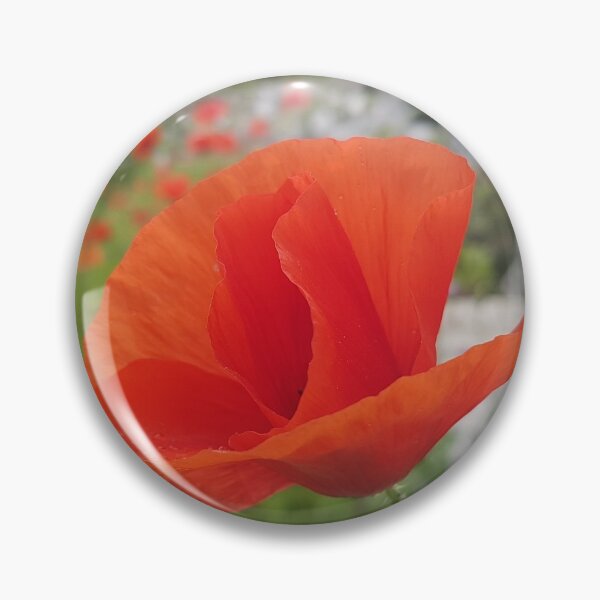 Item preview, terciopelo rojo designed and sold by preethijay.