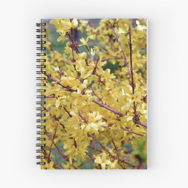 Item preview, Forsythia designed and sold by PeppermintCreek.
