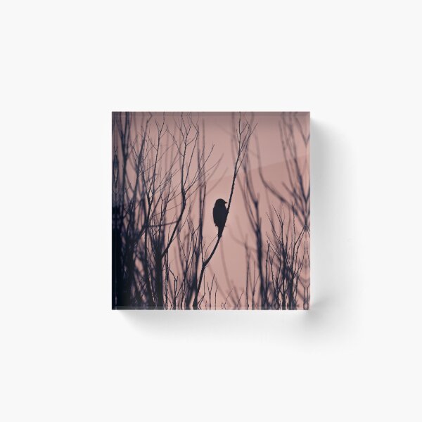 silhouette II |ˌsɪlʊˈɛt| Acrylic Block