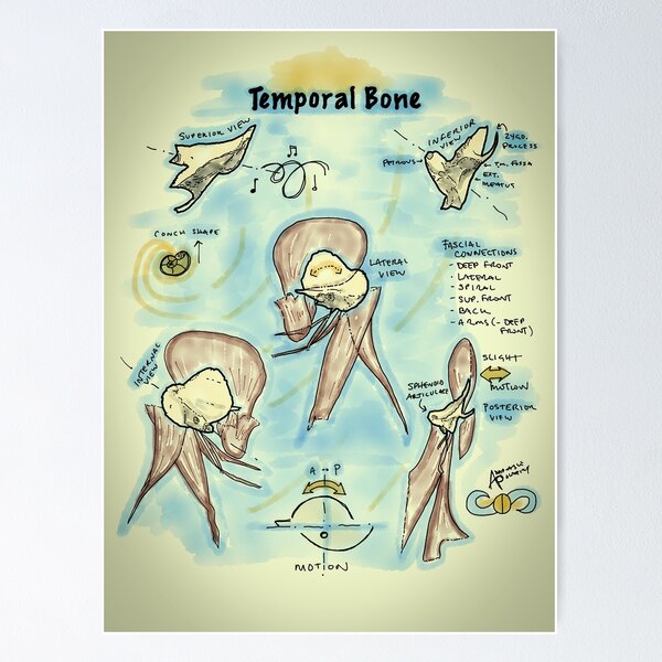 Item preview, Temporal designed and sold by AdaptablePolar.