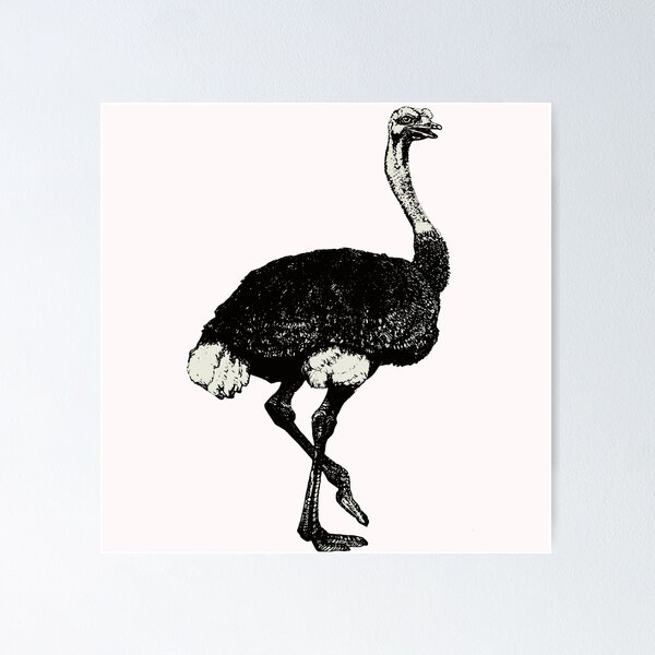 Item preview, Watercolor Ostrich designed and sold by virillanissa.
