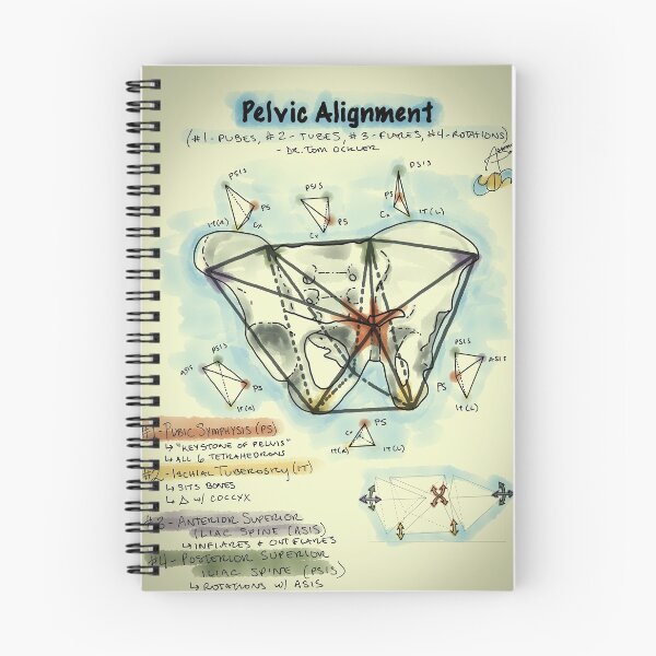 Item preview, Pelvic Alignment designed and sold by AdaptablePolar.