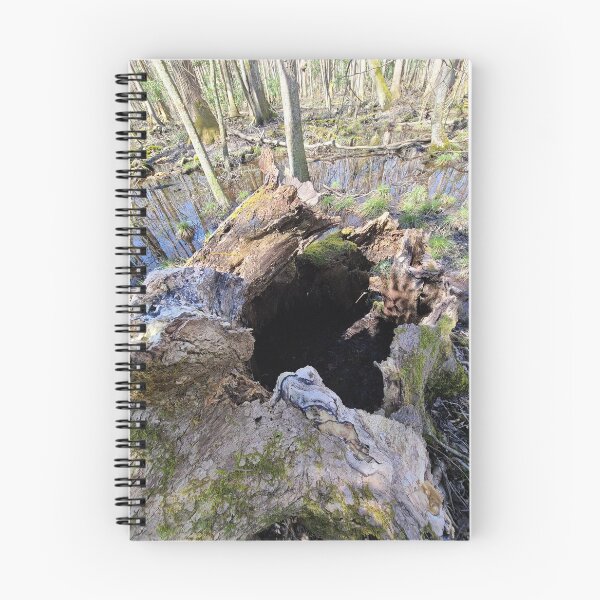 Item preview, Beauty in Death and Decay (Stumps) designed and sold by Twittlefish.
