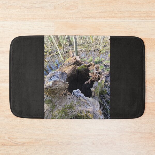 Item preview, Beauty in Death and Decay (Stumps) designed and sold by Twittlefish.