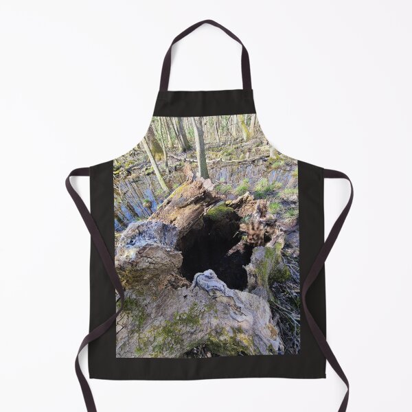 Item preview, Beauty in Death and Decay (Stumps) designed and sold by Twittlefish.