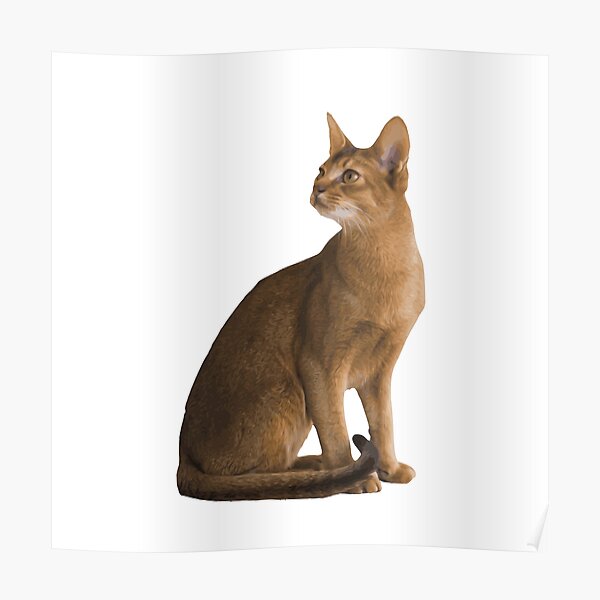 Posters Sur Le Theme Abyssin Redbubble