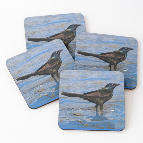 Item preview, Common Grackle designed and sold by Daniela Weil.