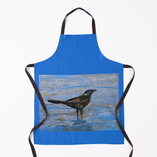 Item preview, Common Grackle designed and sold by Daniela Weil.