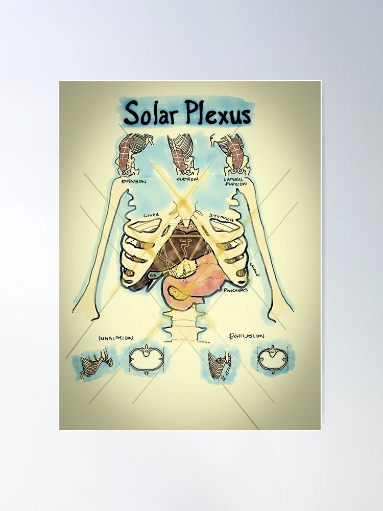 即決【SP system/Solar Plexus System 1.618】本編DVD4枚+特典