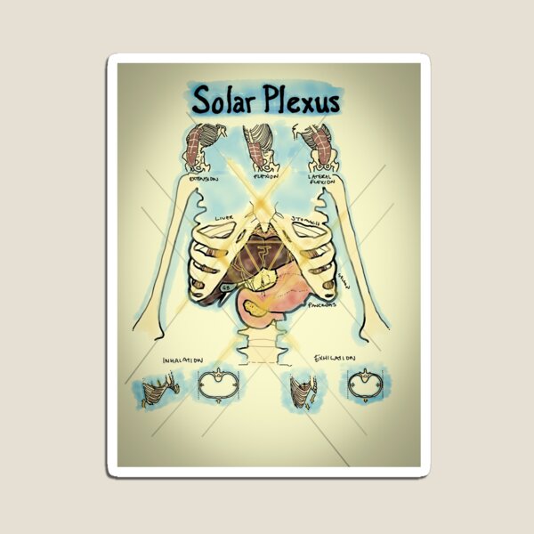 土信田裕介先生　SOLAR PLEXUS SYSTEM 「SP System」 The Solar Plexus - Man's Abdominal Brain