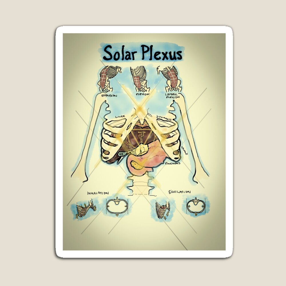 土信田裕介の「Solar Plexus System 」 土信田裕介の「Solar Plexus System 」