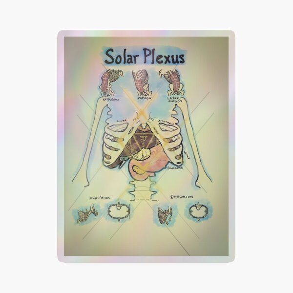 sh,small,507x507-pad,600x600,