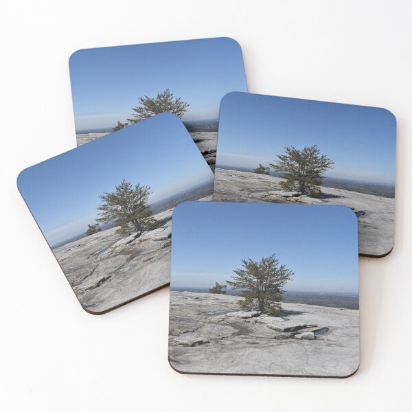 Item preview, On Top of Stone Mountain designed and sold by bertsworks300.