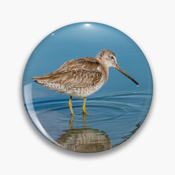 Item preview, Long-Billed Dowitcher Probing in the Mud designed and sold by Jeff Goulden Photography.