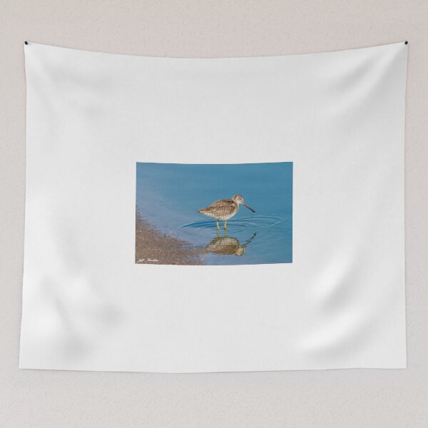 Item preview, Long-Billed Dowitcher Probing in the Mud designed and sold by Jeff Goulden Photography.