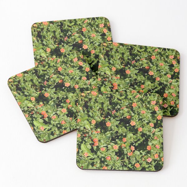 Item preview, Flowering Scarlet Pimpernel Plant designed and sold by Rennie Palmer.