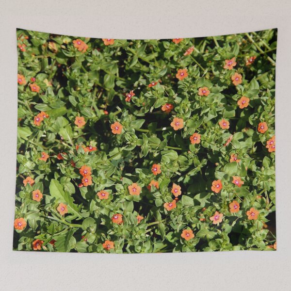 Item preview, Flowering Scarlet Pimpernel Plant designed and sold by Rennie Palmer.