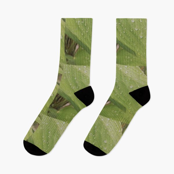 Item preview, Water droplets on a Wet banana leaves designed and sold by jannelserrano.