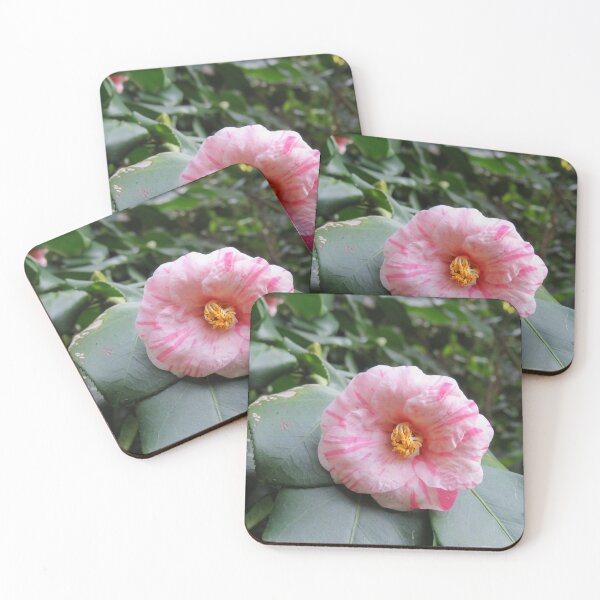 Item preview, Pink streaky camellia designed and sold by greentiger1.