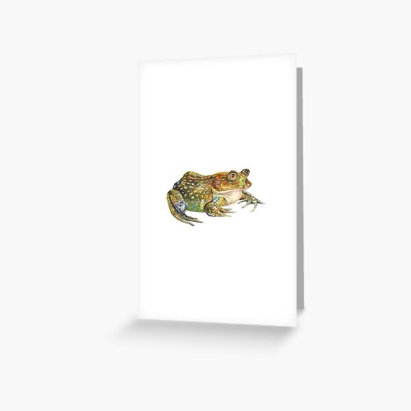 Item preview, Chilean frog (Calyptocephalella gayi) designed and sold by SandraHaro.