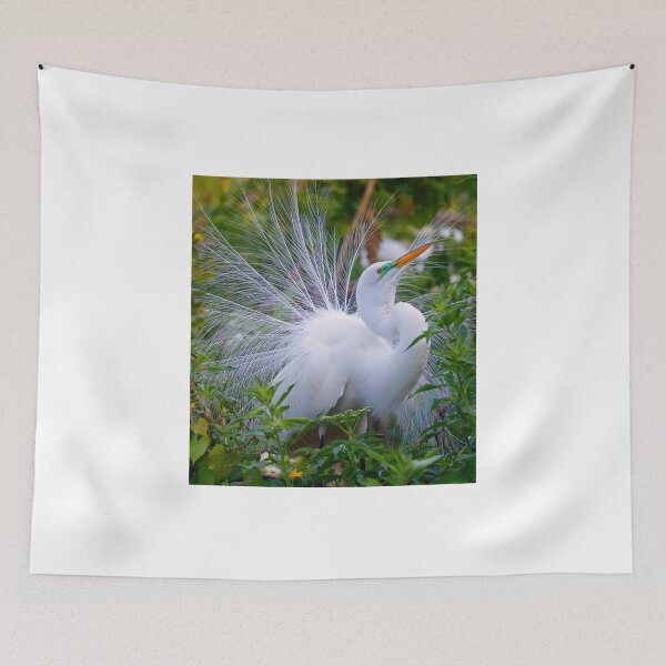Item preview, Show off ! designed and sold by Anthony Goldman.