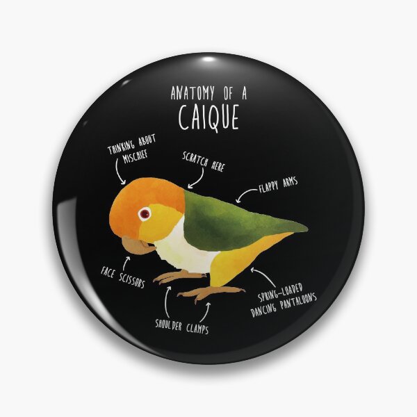 Item preview, Anatomy of a White-Bellied Caique designed and sold by Clara Hollins.