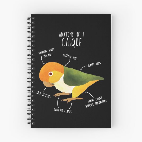 Item preview, Anatomy of a White-Bellied Caique designed and sold by Clara Hollins.