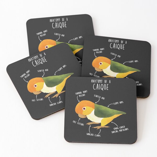 Item preview, Anatomy of a White-Bellied Caique designed and sold by Clara Hollins.