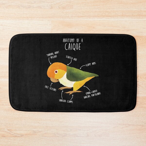Item preview, Anatomy of a White-Bellied Caique designed and sold by Clara Hollins.