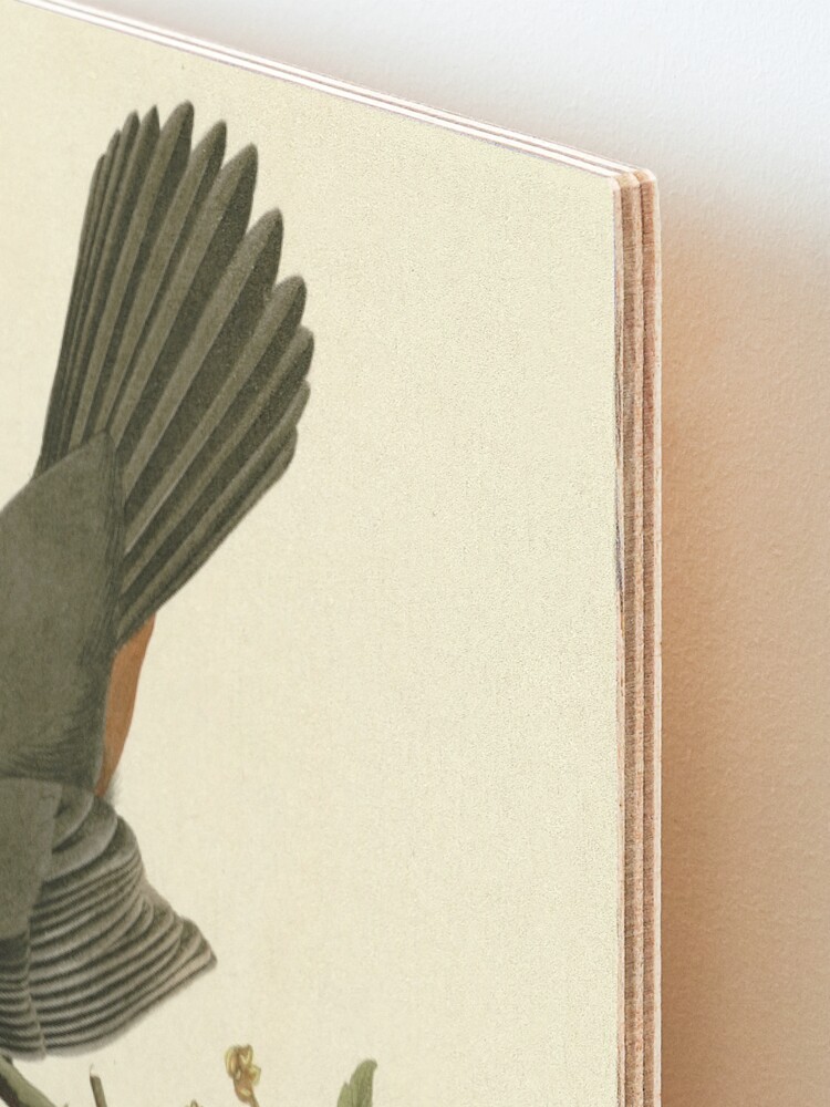 Alternate view of Cat Bird, Birds of America Mounted Print