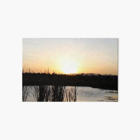 The Sunset Lake Collection Art Board Print