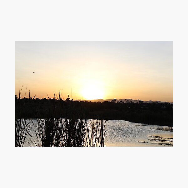 The Sunset Lake Collection Photographic Print