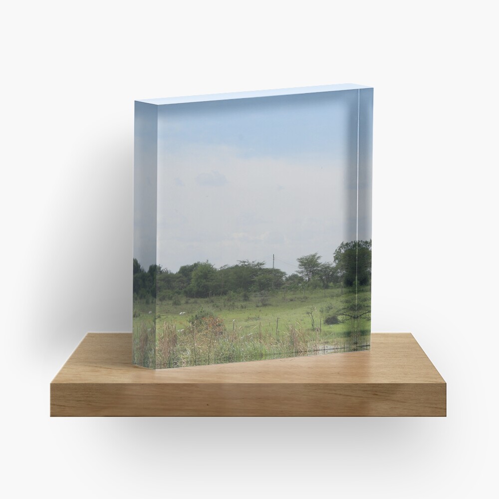 The Taking a Walk Collection Acrylic Block