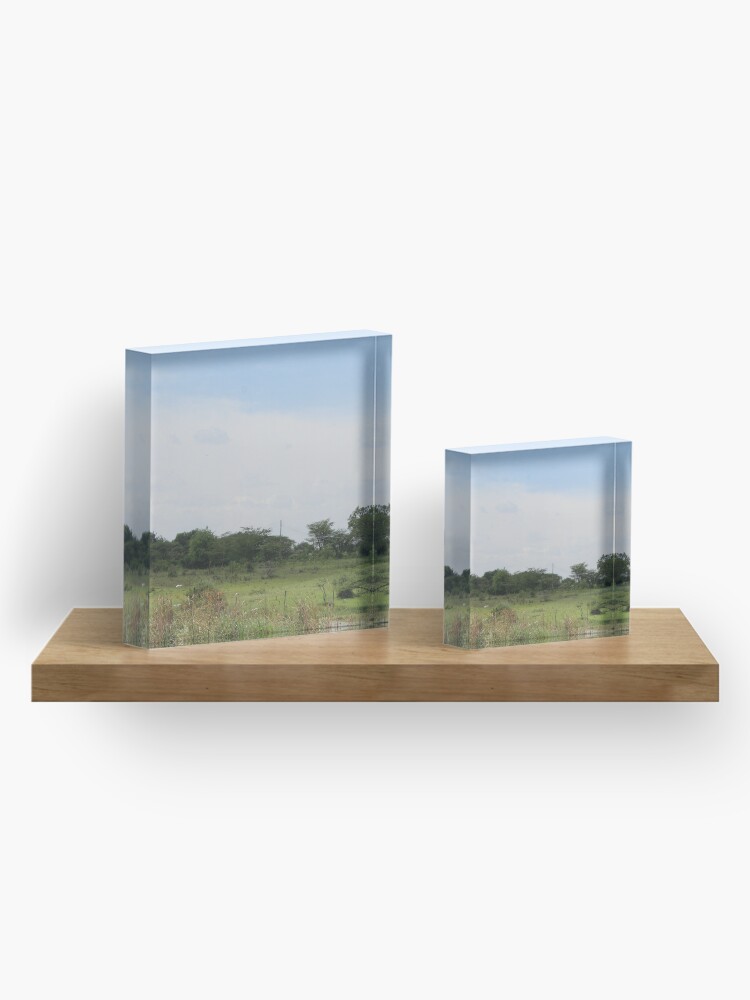 Alternate view of The Taking a Walk Collection Acrylic Block