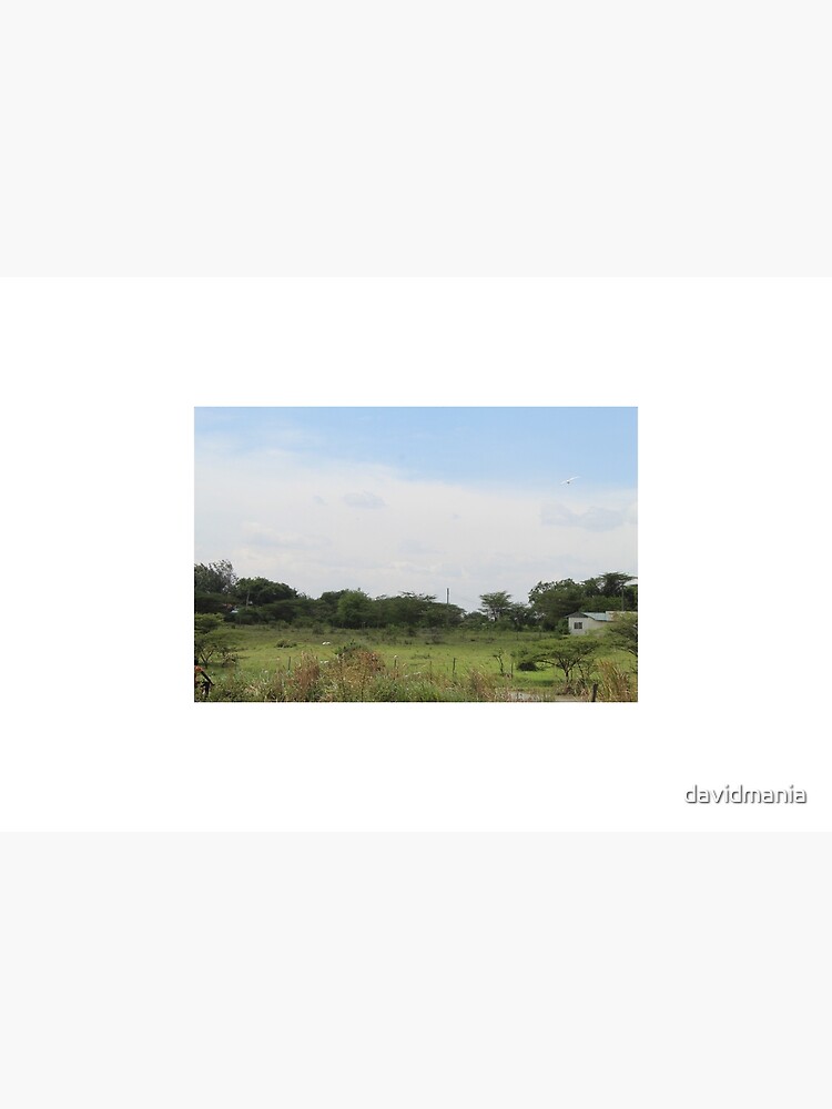 The Taking a Walk Collection by davidmania