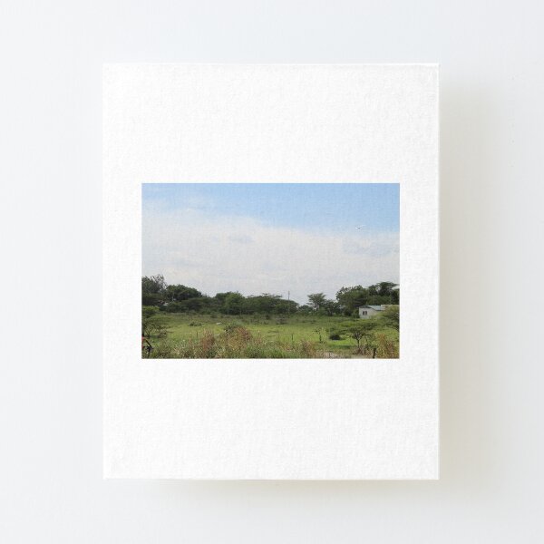 The Taking a Walk Collection Canvas Mounted Print