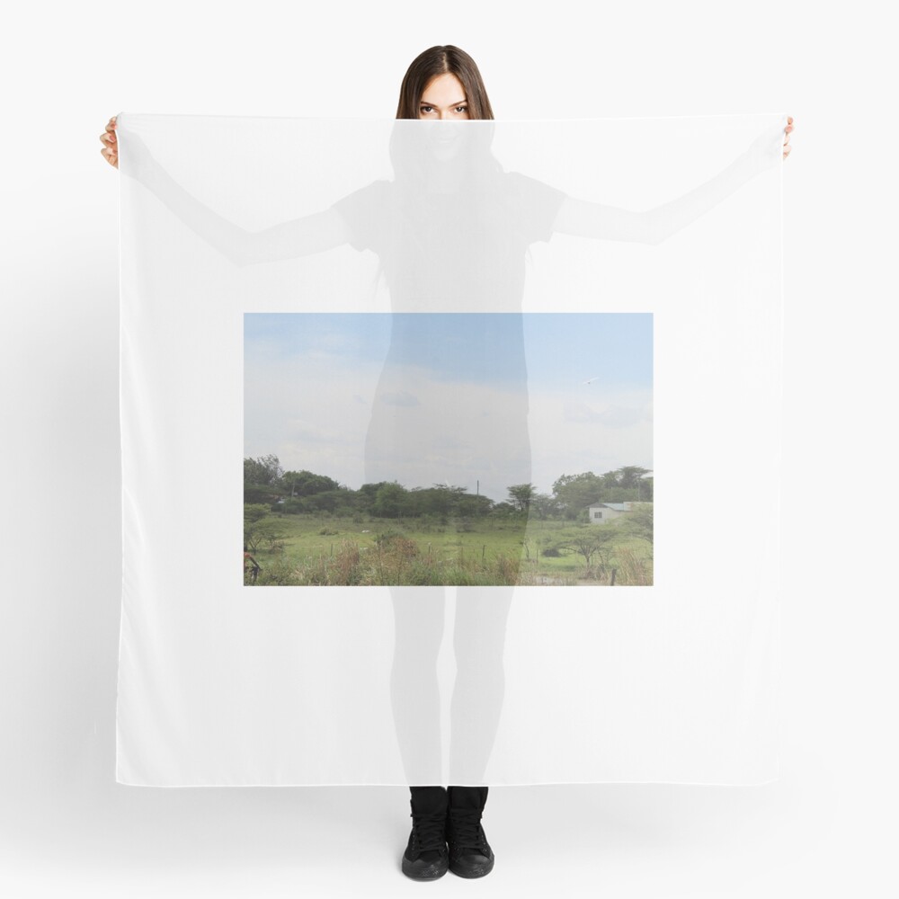 The Taking a Walk Collection Scarf