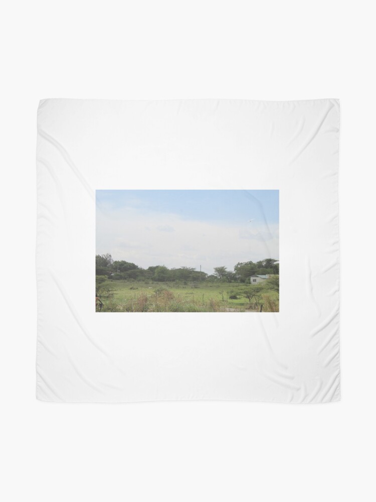 Alternate view of The Taking a Walk Collection Scarf