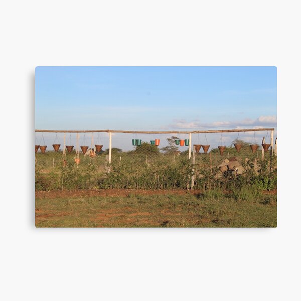 The Vase and Flower Pots Collection Canvas Print