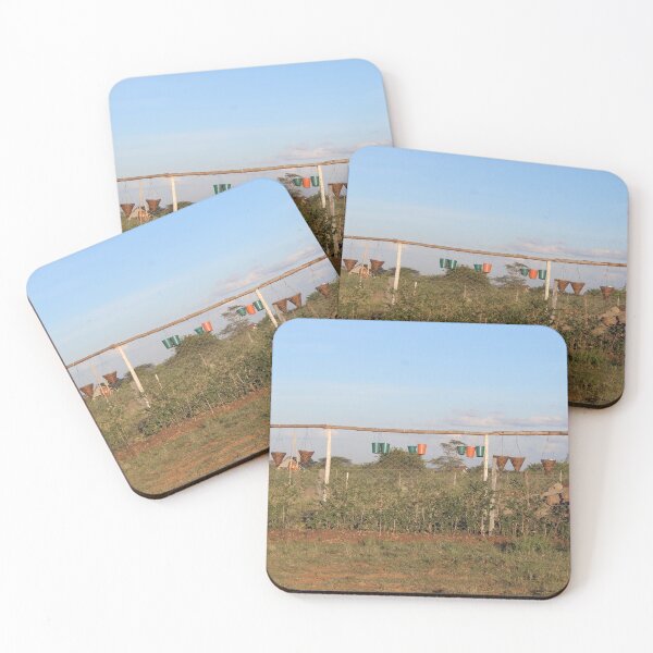 The Vase and Flower Pots Collection Coasters (Set of 4)
