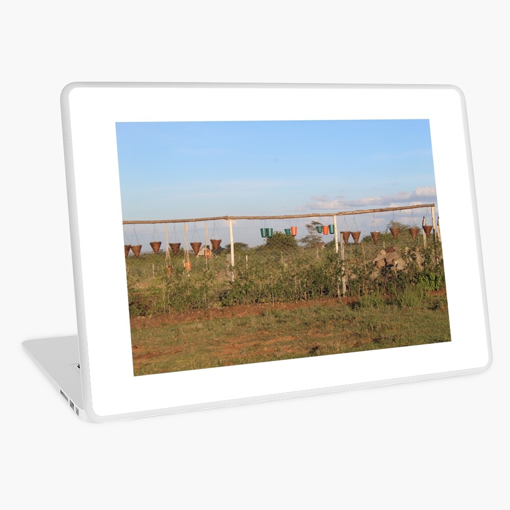 The Vase and Flower Pots Collection Laptop Skin