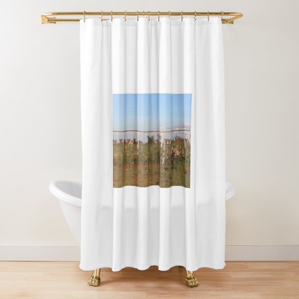 The Vase and Flower Pots Collection Shower Curtain