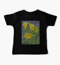 Yellow Flag Iris - Donegal Baby Tee