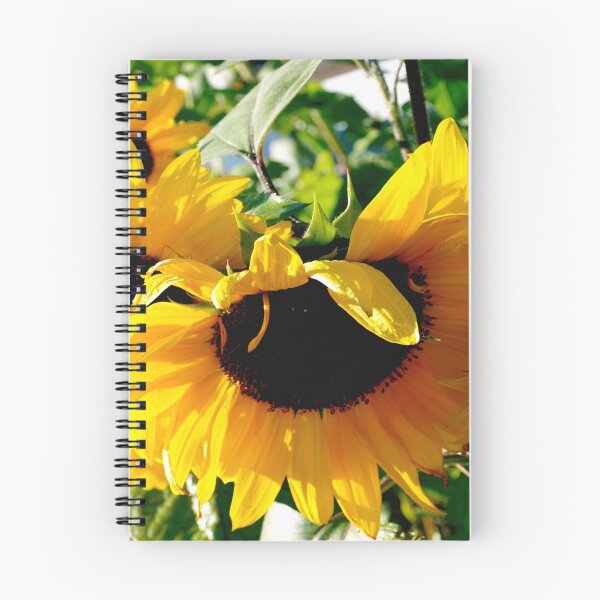 Artikelvorschau, Peek-a-Boo-Sonnenblumen entworfen und verkauft von B. Randi Bailey.