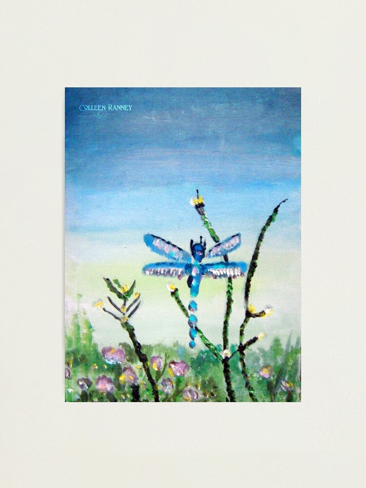 Alternate view of Dragon Fly by Colleen Ranney Photographic Print